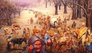 andrew jackson native americans trail of tears