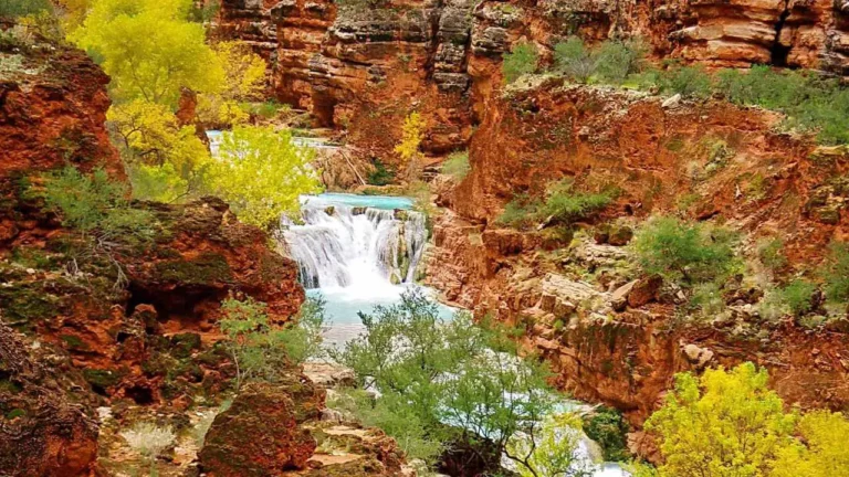 Havasupai Tribe Reconnects with Ancestral Homeland at Grand Canyon