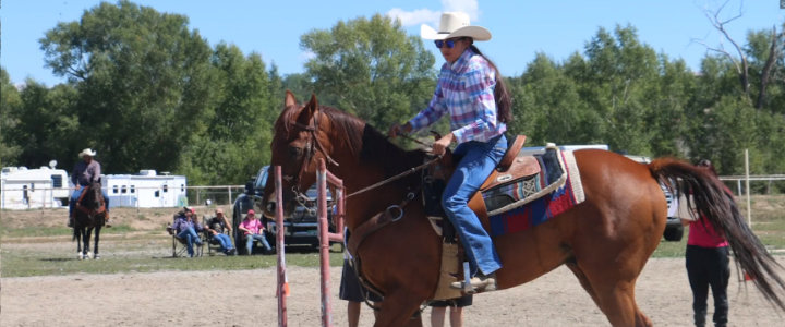 Stiff competition in the horsemanship competition