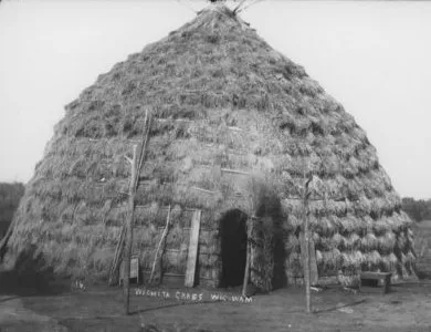 example of a grass house